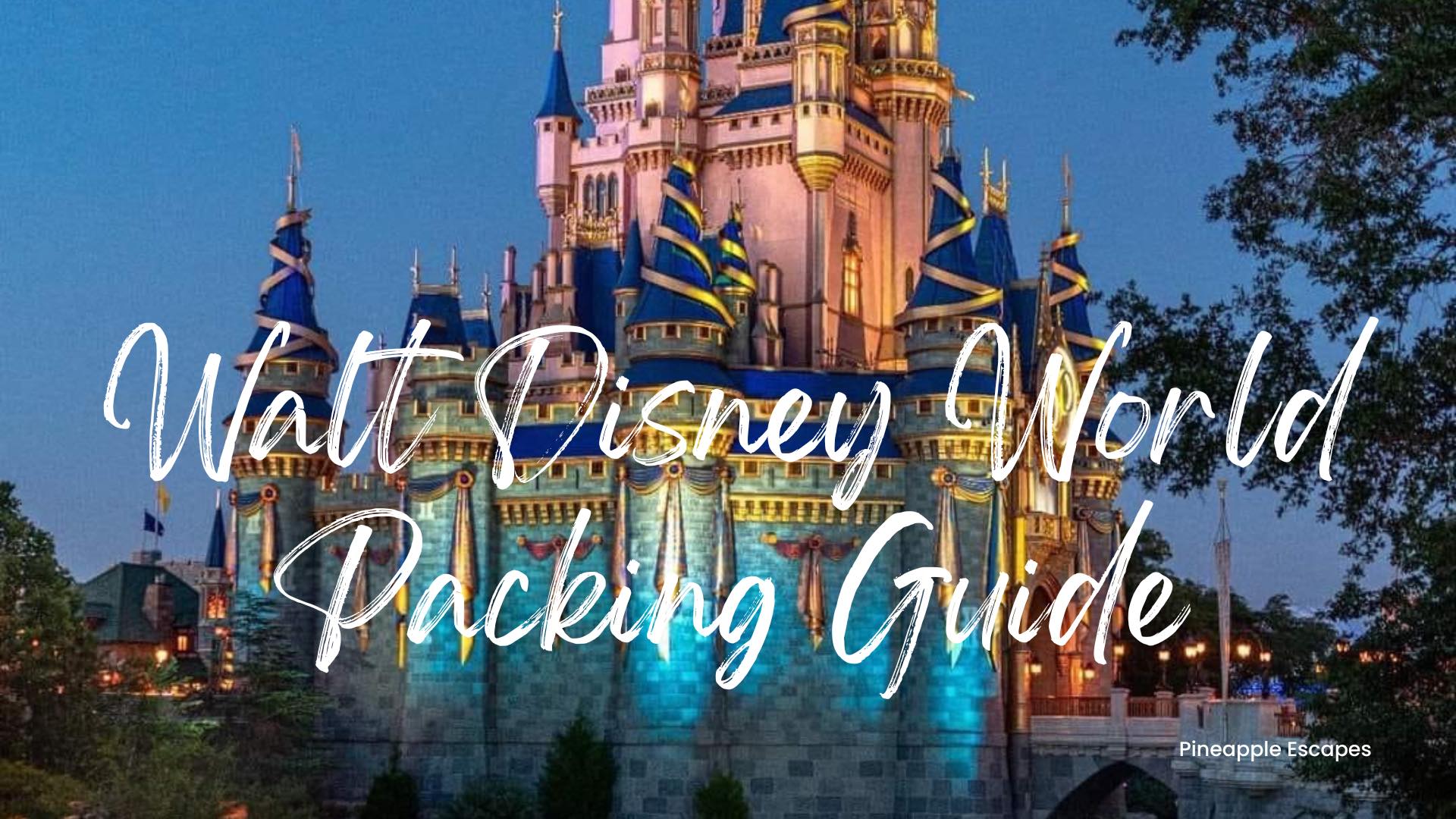 What to pack for your next WDW vacation!